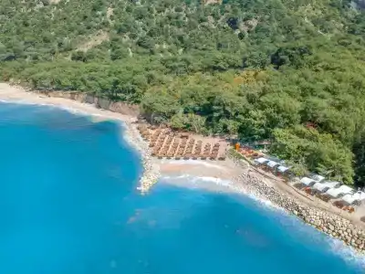 Liberty Lykia Adults Only - 70