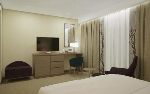 Hilton Garden Inn - 80