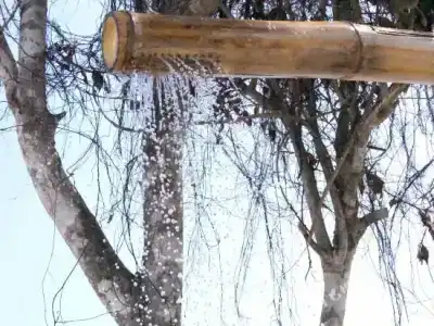 The Secret Garden Koh Rong - 25