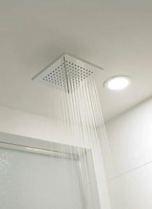 The Palms & Spa - 53