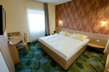 Aranyhomok Business City-Wellness-Hotel - 24