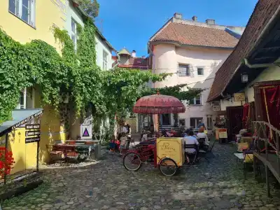 Original Sokos Viru - 4