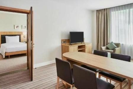 Hilton Garden Inn Dubai Mall Of The Emirates - 61