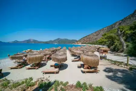 Liberty Lykia Adults Only - 24