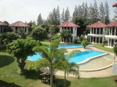 Mango Spa & Resort - 22