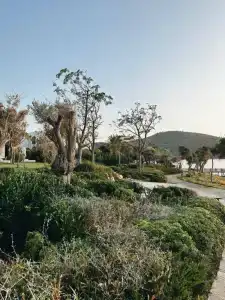 Susona Bodrum, LXRs & Resorts - 63