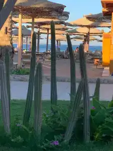 Jaz Makadi Oasis Resort - 64
