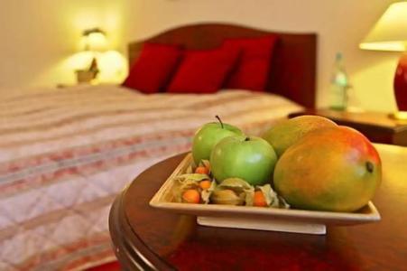 Radisson Blu Schwarzer Bock Wiesbaden - 20