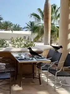 Hurghada Coral Beach - 89