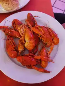 Belconti Resort - 72