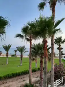 Akti Beach & Village Resort - 47