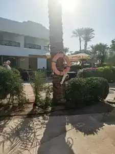 Novotel Sharm El-Sheikh - 96