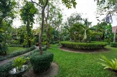 Pinnacle Samui Resort SHA Plus - 41