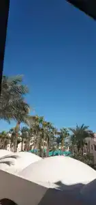 Le Pacha Resort - 88