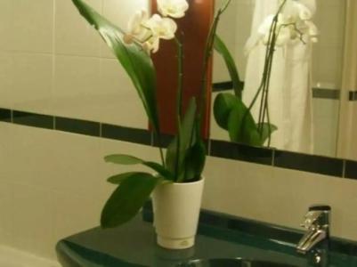 Mercure Roma Corso Trieste - 30