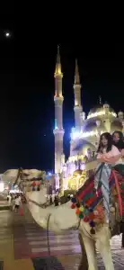 Solymar Naama Bay - 84