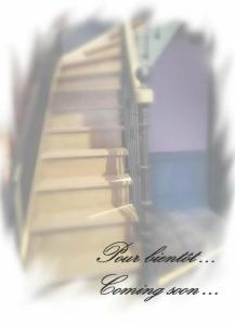 Bayard Bellecour - 51