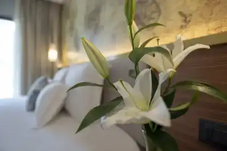 HUMA Kotor Bay and Villas - 11