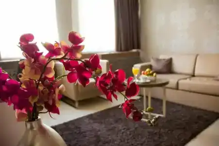 Srbija Garden Ex Garni - 7