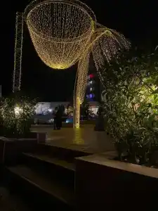 Delphin BE Grand Resort - Ultra All Inclusive - 77