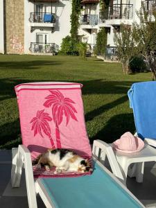 Club Marco Polo - Premium All Inclusive - 71