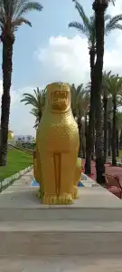 Monachus Family Resort Sorgun - 50