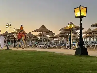 Sunrise Mamlouk Palace Resort - 37
