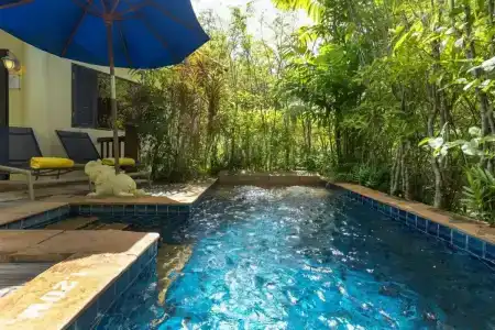 Seaview Resort Khao Lak - SHA Plus - 68