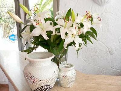 Boutique Bon Repos - Adults Only - 18