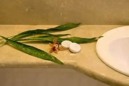 Best Western Plus Plaza - 20