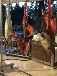 Primasol Hane Family Resort - 90