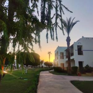 Amphoras Beach - 71