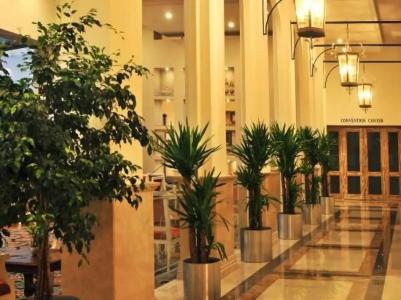 Ramada Plaza by Wyndham Mardin - 12