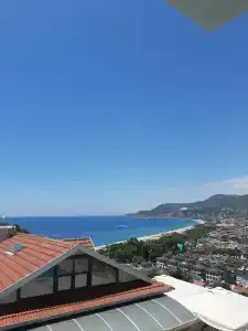 Sunny Hill Alya - 85