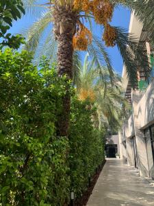 DoubleTree By Hilton Antalya Kemer - 90