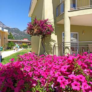 Transatlantik & Spa - 81