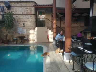 Mediterra Art Antalya - 66