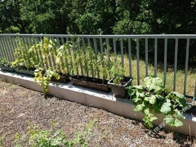 B&B Berlin-Airport - 32