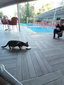 Annabella Park - All Inclusive - 50