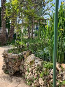 Belconti Resort - 58