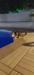 MARBAS SELECT BEACH , Adult Only 14 Plus - 42