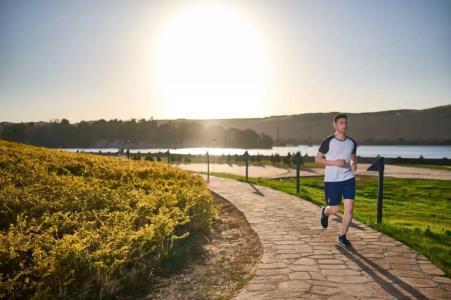 Mövenpick Resort Aswan - 35