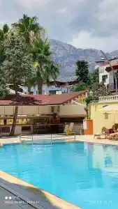 Wassermann - 50