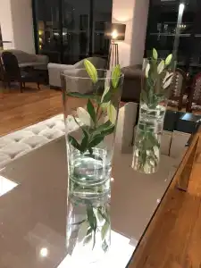 Cyprotel Florida - 50