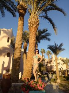 Le Pacha Resort - 98