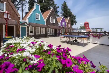 Orange County Kemer - 12