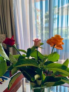 Atrium Palace Thalasso Spa Resort And Villas - 41