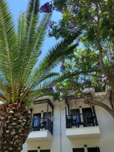 Club Nena - All Inclusive - 55