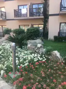 Alba Resort - Ultra All Inclusive - 50