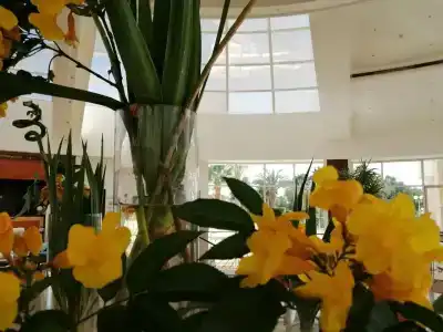 Labranda Royal Makadi - 94